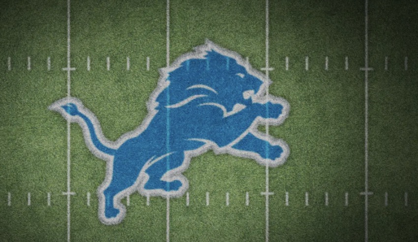 Detroit Lions banner image